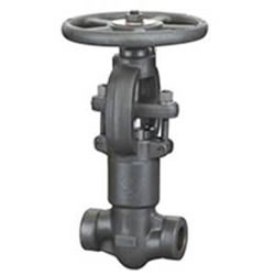 Forged Steel Self Sealing Globe Valve