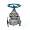 Plunger Valve Series