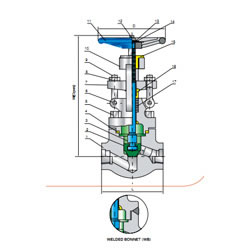 Forged Steel Globe Valve