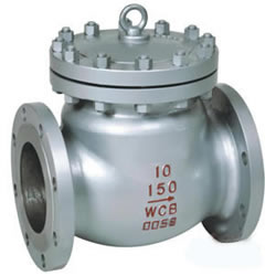 Flange Check Valve ANSI