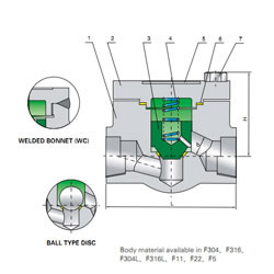 Forged Steel Piston Check Valve 