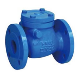 Cast Iron Flange Check Valve