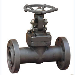 Z41Y Z41H Forged Steel Flange Gate Valve ANSI