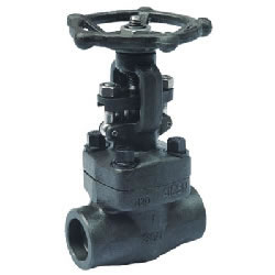 Z61Y Z61H Forged Steel Gate Valve