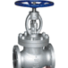 Globe Valve Series